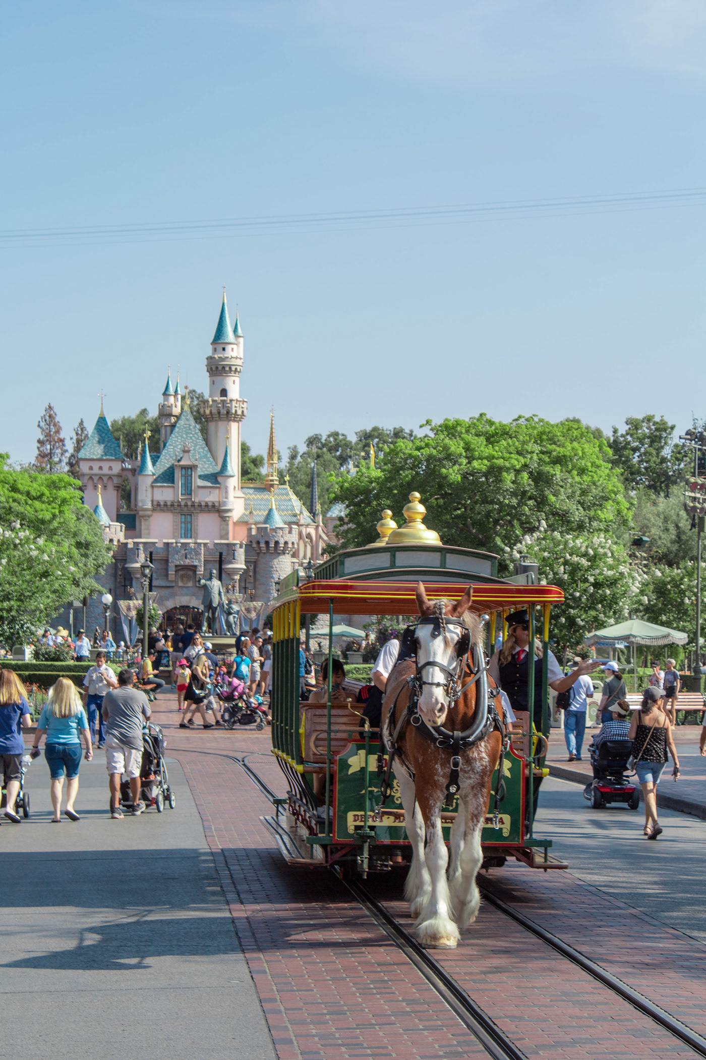 Disneyland Images — photo 3